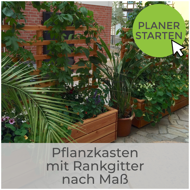 Pflanzkasten mit Rankgitter - Planer starten